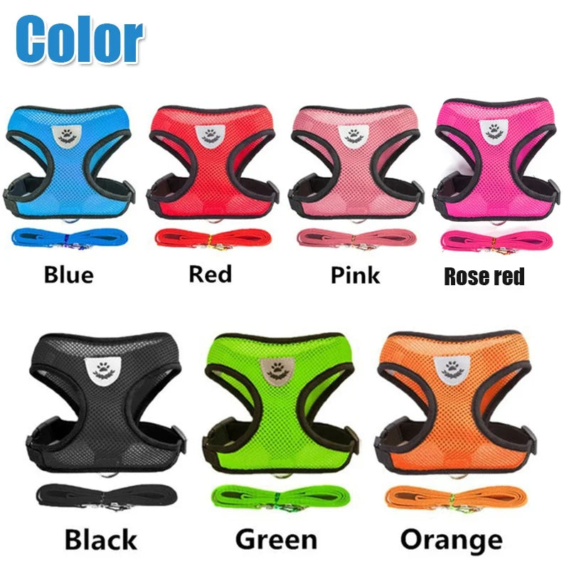 Harnais pour Chat et Chien avec Laisse - Gilet Ajustable en Polyester Maille Respirante, Harnais Réfléchissant pour Petits Chiens et Chats - La Maison Cozy